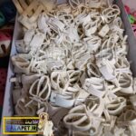 گیره کلیپسی نگهدارنده کف دریا - Image 2