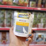 مکمل پاکسازی نطفه تریکوپلاس ورسلاگا - Image 3