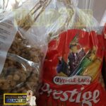 ارزن خوشه ای تشویقی طوطیسانان - Image 3