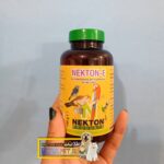 مکمل ویتامین و تقویت نطفه نکتون اس و ای - Image 2