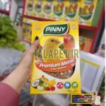 گرانول میوه ای طوطی سانان پنیتا - Image 3