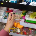 دانخوری سیلویی پرنده - Image 3