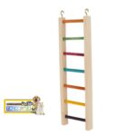 نردبان رنگی پرندگان و طوطی سانان در سه سایز - Image 2