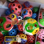 توپ بازی انواع پرندگان - Image 6