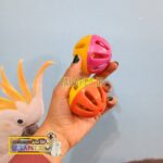 توپ بازی انواع پرندگان - Image 4