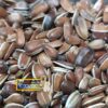 تخمه قرمز رژیمی مخصوص طوطی - Image 2