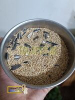 ارزن ایرانی درجه یک پرندگان - Image 2