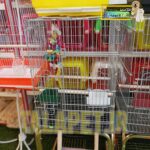 قفس 1032 مخصوص انواع پرندگان زینتی - Image 2