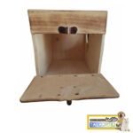 لانه طوطی عروس