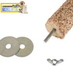 نشیمن زبرو ماسه ای پرندگان و طوطیسانان - Image 3