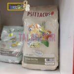 شن کلسیم گریت فاین سیتاکوس - Image 2