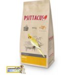 پلت مینی سیتاکوس