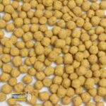 پلت نچرال مینی سیتاکوس - Image 2