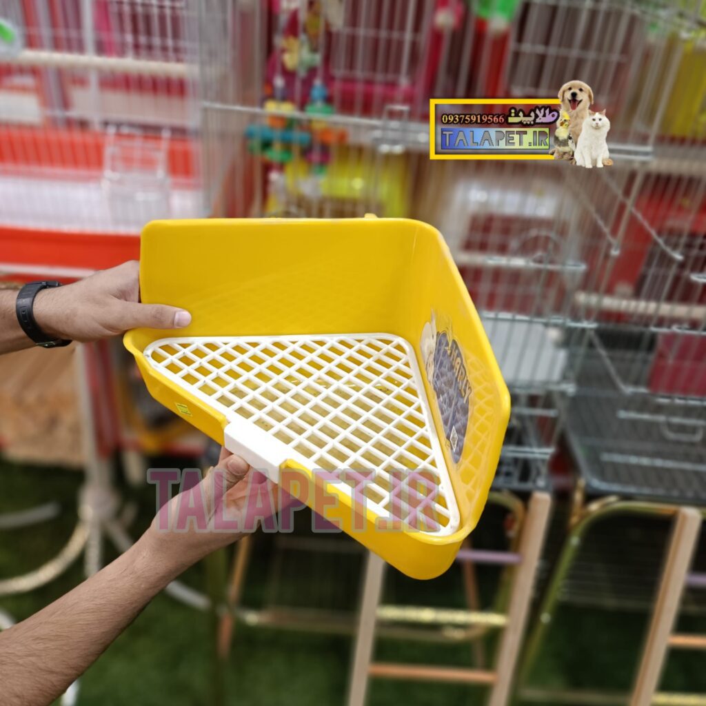 دستشویی خرگوش