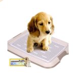 ظرف ادرار سگ