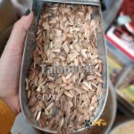 تخمه قرمز رژیمی مخصوص طوطی - Image 4