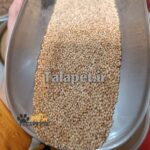 ارزن ایرانی درجه یک پرندگان - Image 3