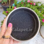 تخم خرفه پرندگان زینتی - Image 2