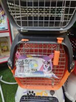 باکس حمل سگ و گربه مدل MAX سایز ۳ پلاس - Image 4