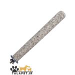 نشیمن زبرو ماسه ای پرندگان و طوطیسانان