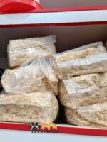 پوشال یا چیپس چوب ضدعفونی شده بستر لانه پرندگان و حیوانات خانگی - Image 5