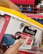 سرلاک ورسلاگا a19 - Image 4