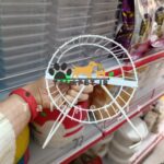 چرخ و فلک همستر پایه دار - Image 3