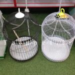 قفس گرد گنبندی پرندگان - Image 3