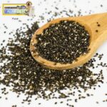 تخم خرفه پرندگان زینتی