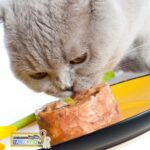 کنسرو غذای گربه نوتری پت با طعم گوشت مرغ و برنجNUTRI PET - Image 2