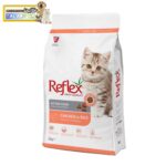 غذای خشک بچه گربه