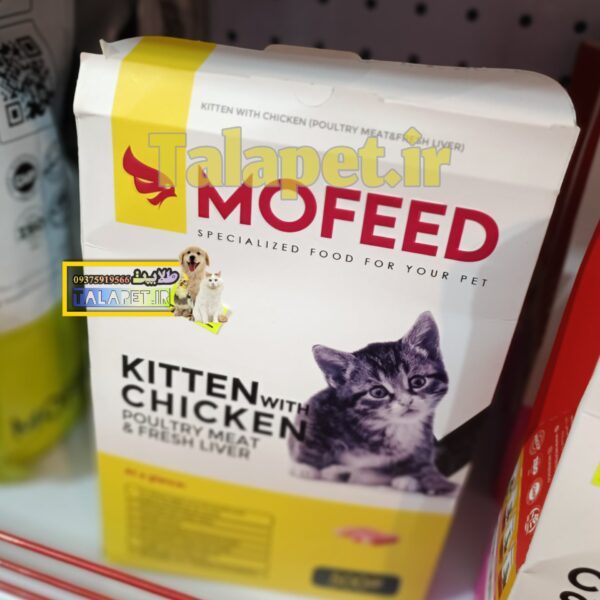 غذا خشک بچه گربه مفید