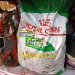 غذا خشک سگ بالغ رویال کنین مدل مینی ادالت (نژاد کوچک) - Image 2