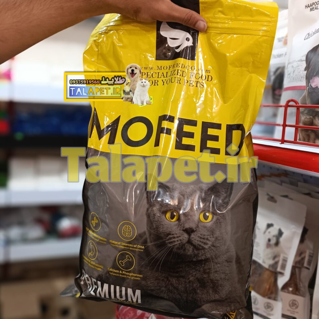 غذا خشک پرمیوم گربه