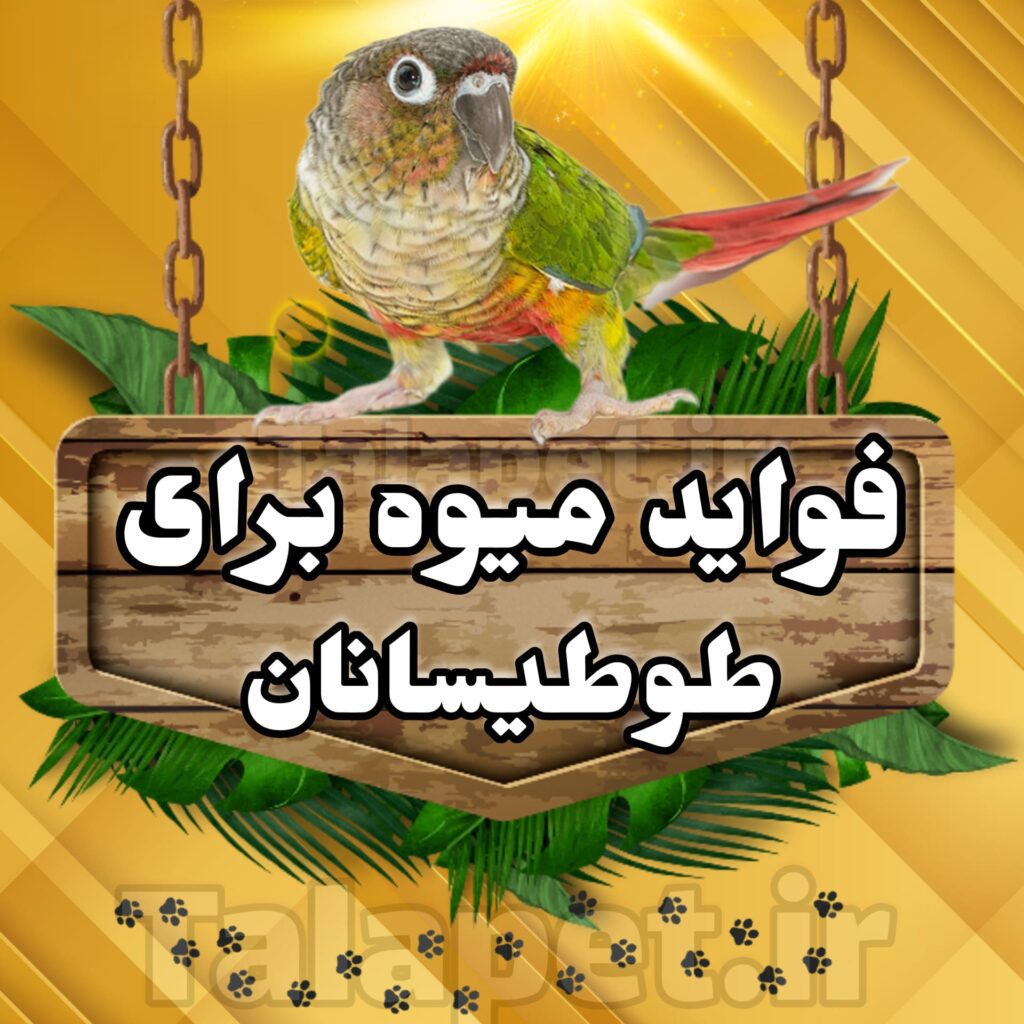 فواید میوه طوطی