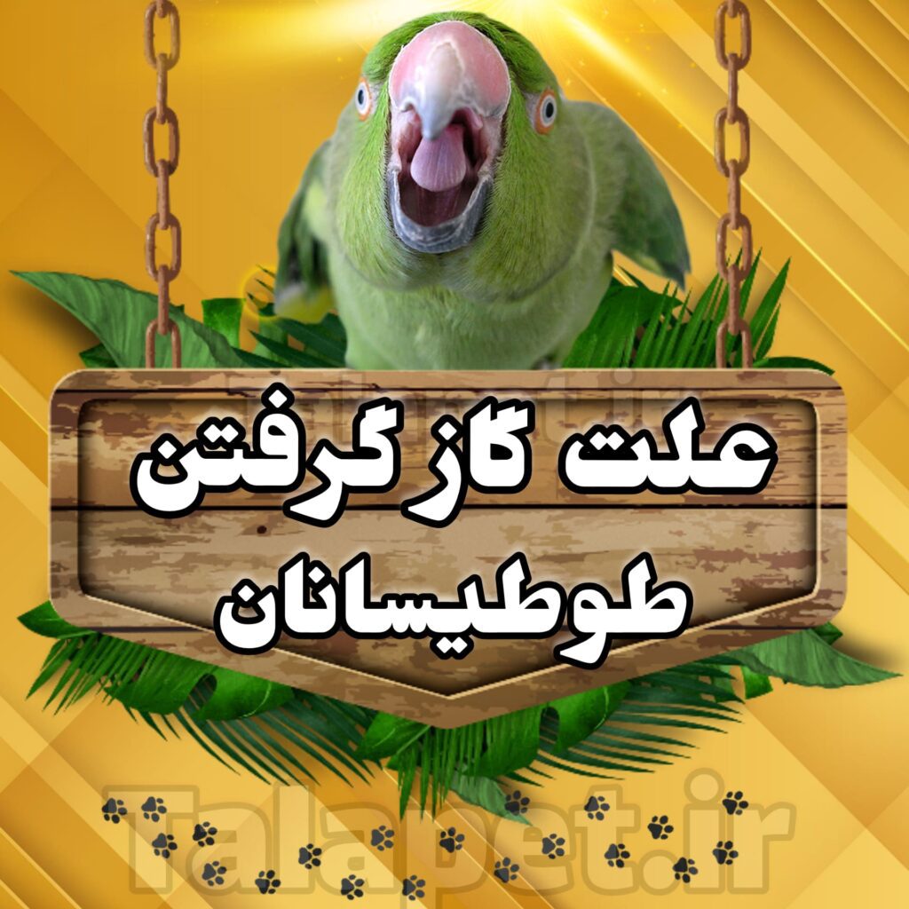 گاز گرفتن طوطی