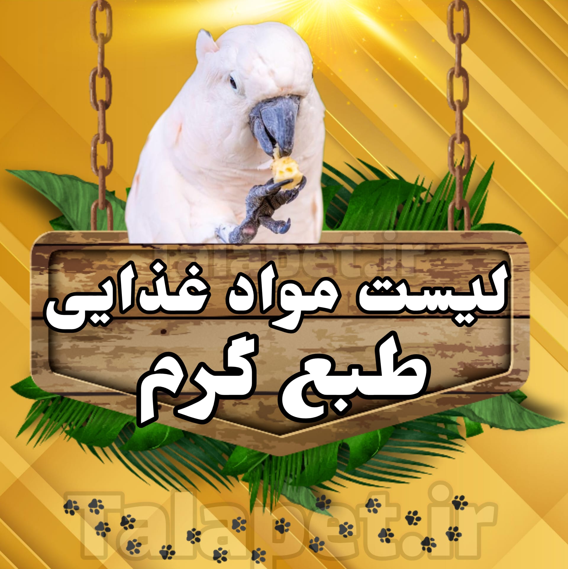 مواد غذایی طبع گرم