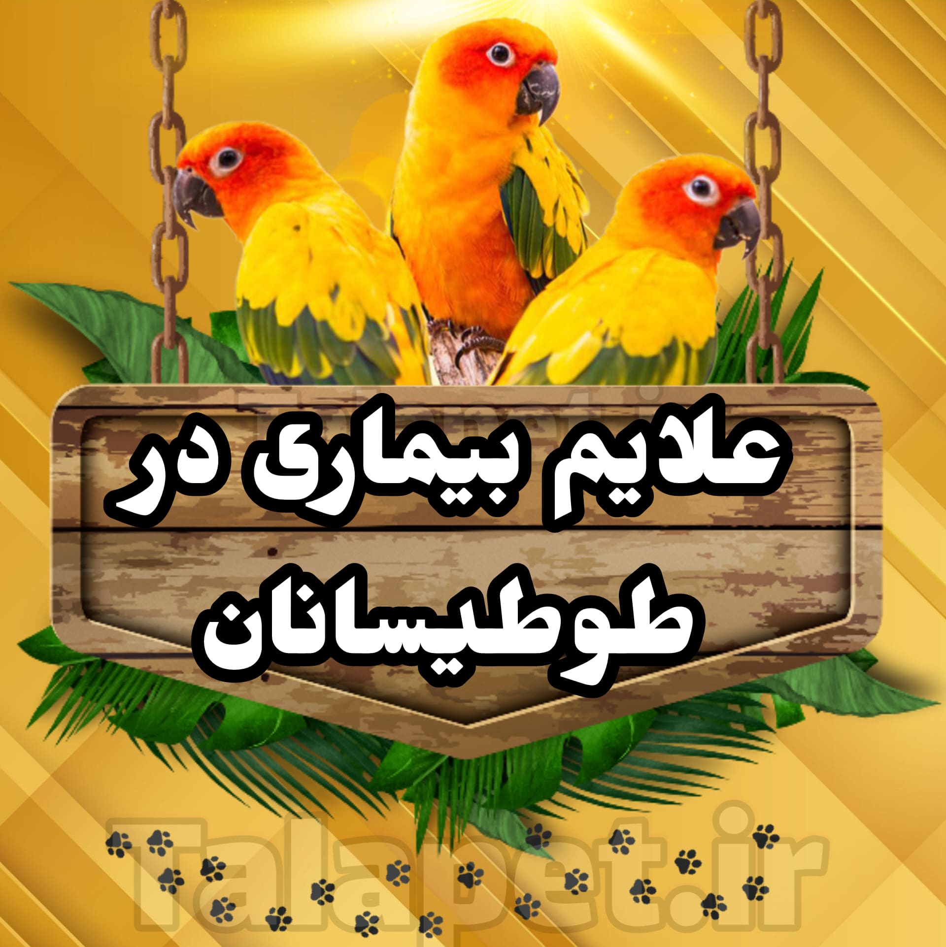 علائم بیماری در طوطیسانان