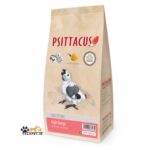 سرلاک خارجی سیتاکوس