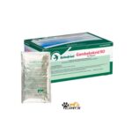 آنتی بیوتیک گامبوکوکزید رانفرید - Image 2