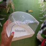 وان حمام بیرون قفس پرندگان زینتی و طوطیسانان - Image 6