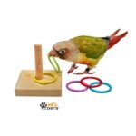 اسباب بازی فکری حلقه و میله طوطیسانان و پرندگان زینتی - Image 2