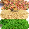 پک غذای روزانه ترکیبی ، برای تست ذائقه پرنده دلبند شما - Image 2
