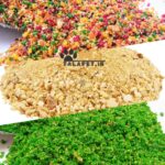 پک غذای روزانه ترکیبی ، برای تست ذائقه پرنده دلبند شما