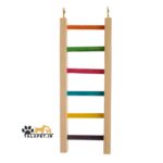 پک سرگرمی و بازی انواع پرندگان زینتی - Image 5