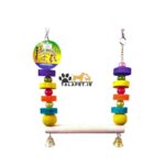 پک سرگرمی و بازی انواع پرندگان زینتی - Image 6