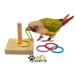 پک سرگرمی و بازی انواع پرندگان زینتی - Image 7