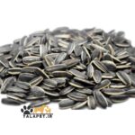 پک تخمه افتاب گردان رژیمی (قرمز و مشکی) مخصوص پرندگان زینتی - Image 3