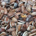 پک تخمه افتاب گردان رژیمی (قرمز و مشکی) مخصوص پرندگان زینتی - Image 2