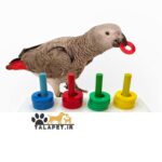 اسباب بازی فکری حلقه میله طوطیسانان